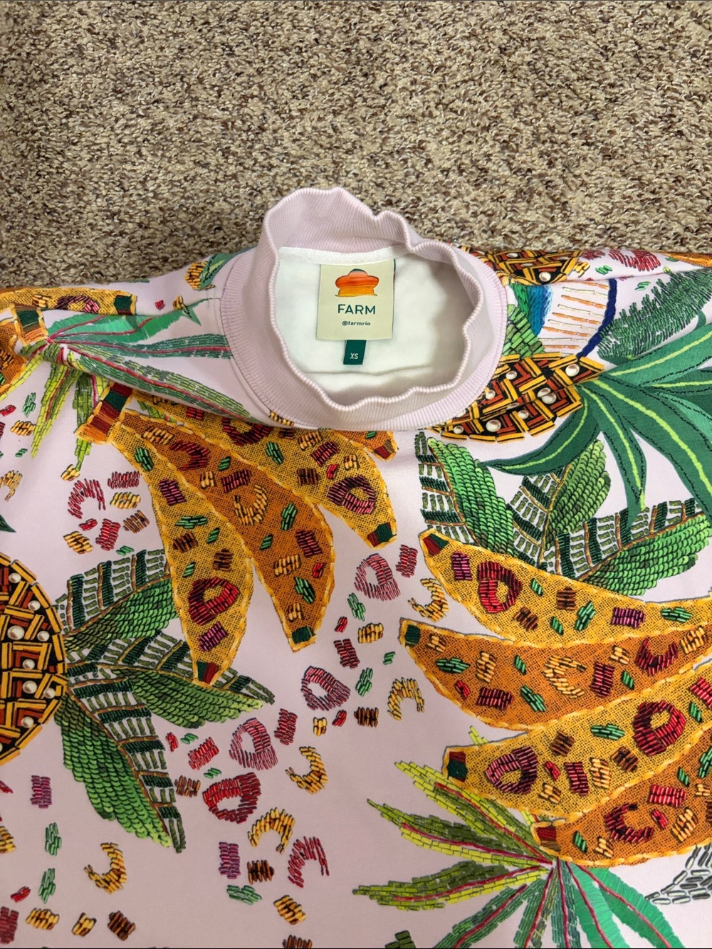 FARM Rio Pink Tropical Banana Print Sweatshirt dress/tunic